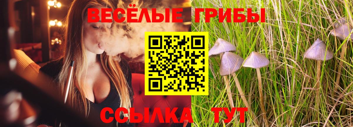 Пыть-Ях  Галлюциногенные грибы GOLDEN TEACHER  Вход с VPN  Галлюциногенные грибы мицелий 