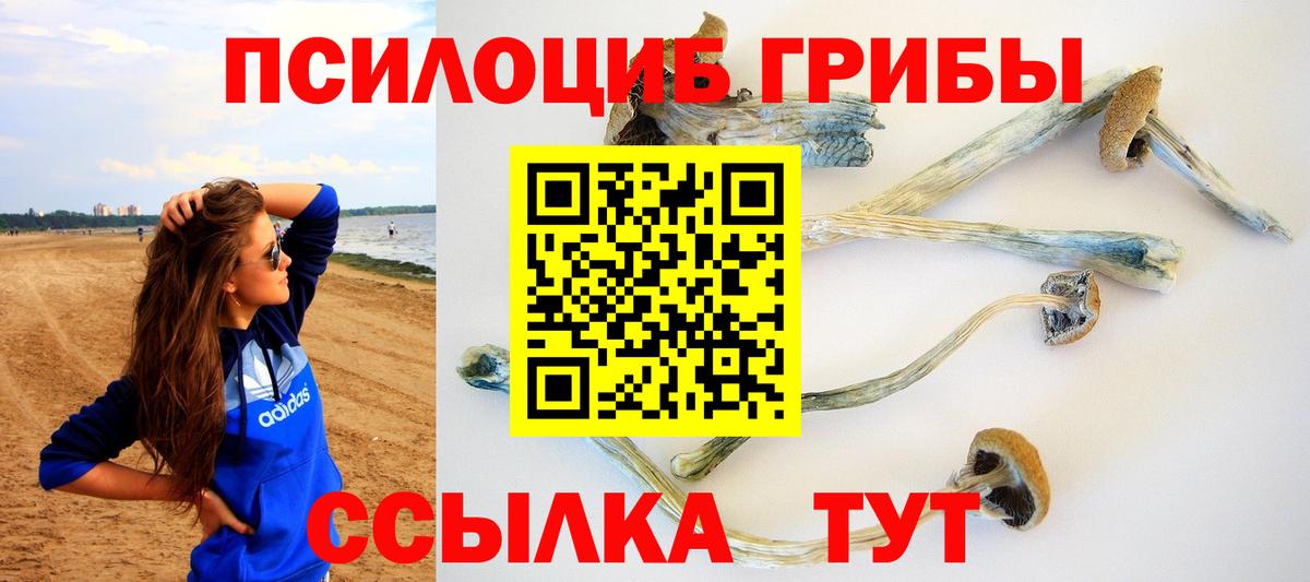 Псилоцибиновые грибы Magic Shrooms Пыть-Ях
